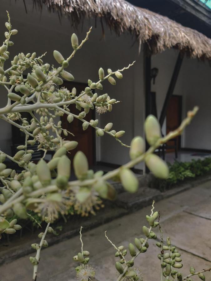 Mimi Kuta Homestay Ngoại thất bức ảnh